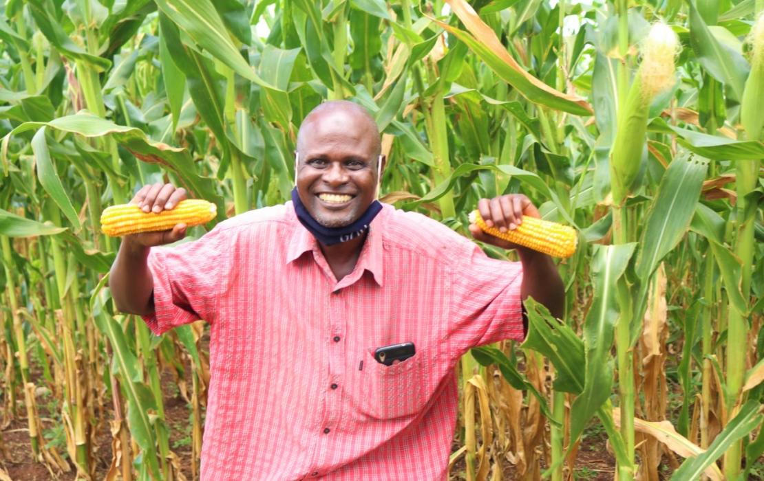 A farmer from Uganda standing in his maize field