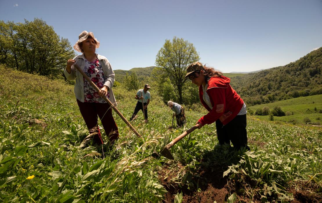 People working in fields in Armenia