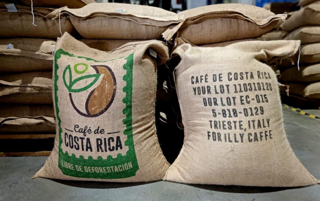 Costa Rica exporta su primer lote de café libre de deforestación
