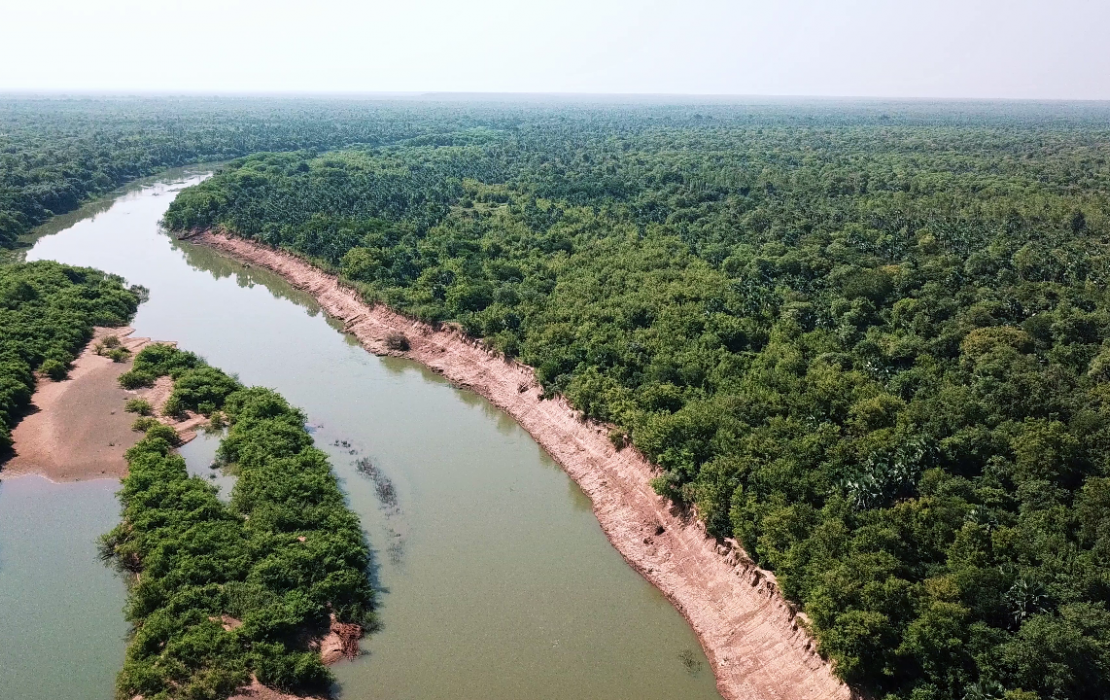 Aerial view of a forest and a river in Africa