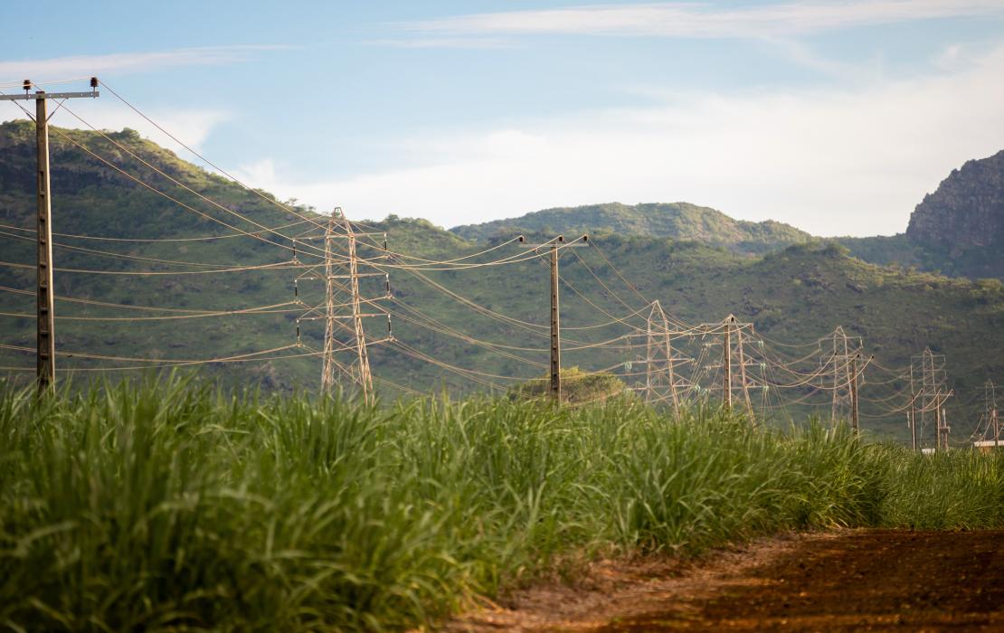 High voltage lines in the region of La Chaumiere on the west coast of Mauritius