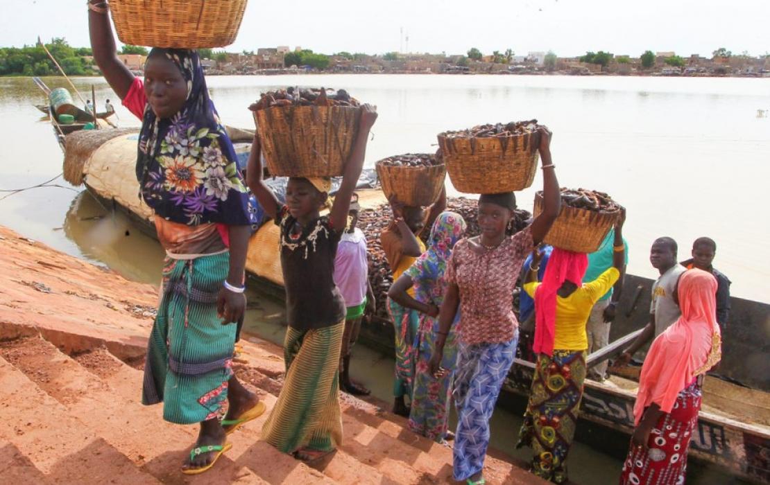 Déchargement de poisson fumé sur le quai, Mopti, Mali