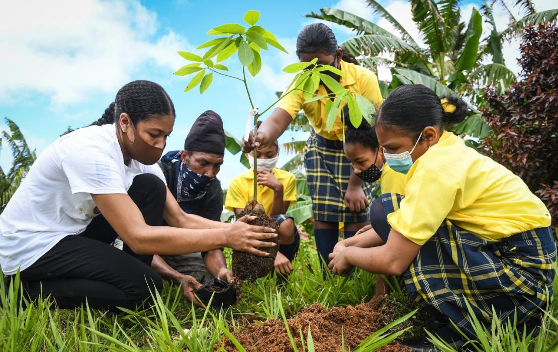 Students planting trees in Dominica