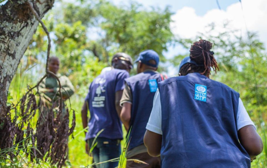 UNDP and private sector carbon markets