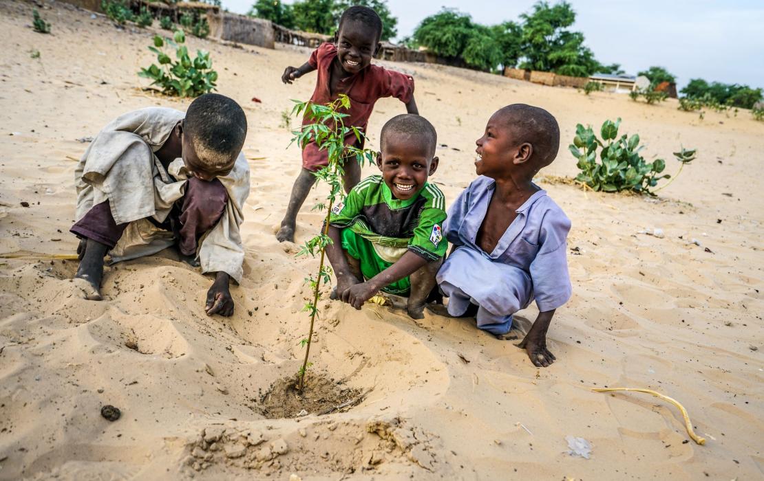 Children watching a tree seedling recently planted in their village in Chad
