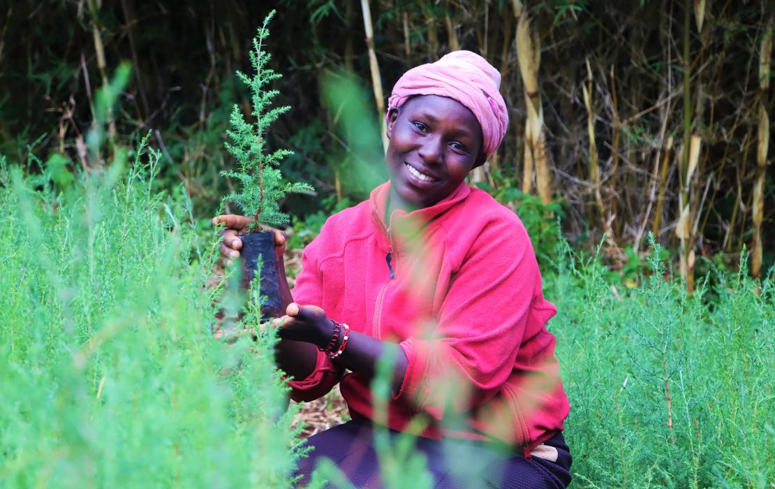 A woman plating trees in Kenya