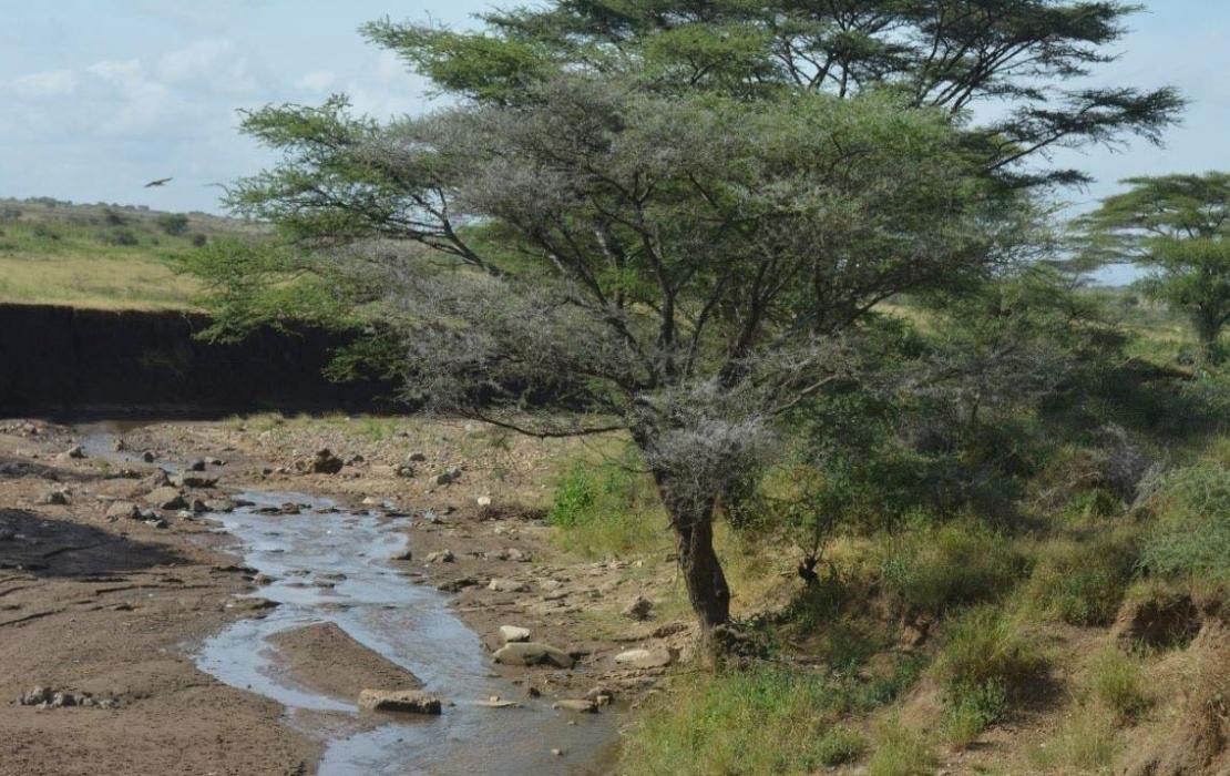 A drying stream in Moroto, North Eastern Uganda.