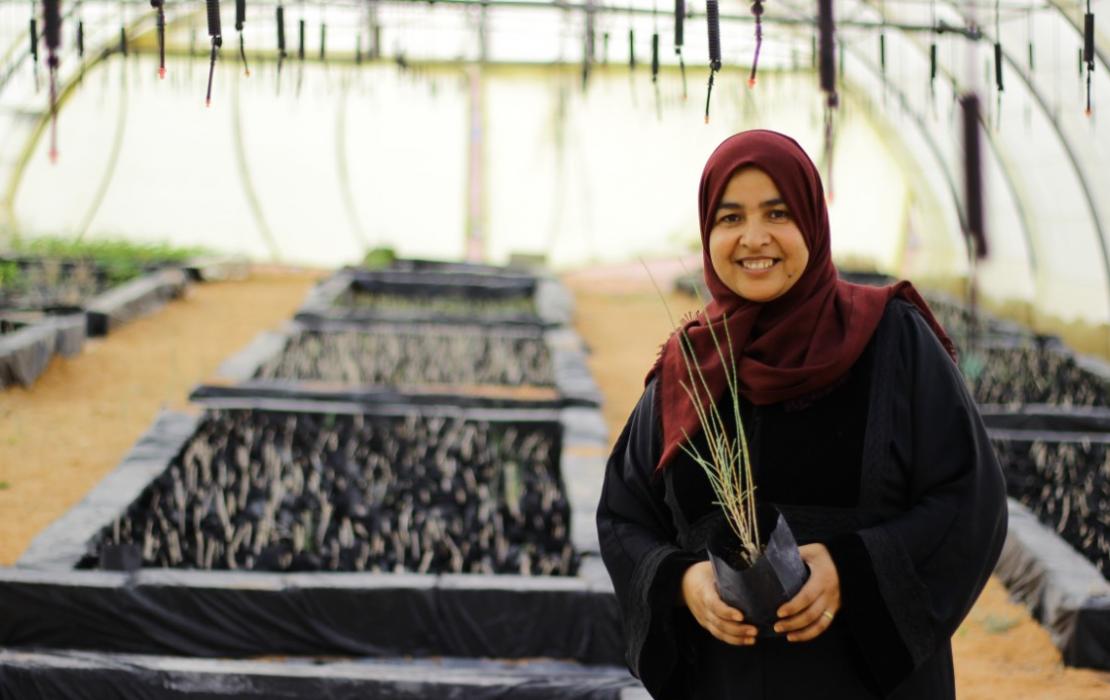 Woman preparing trees for planting in Jordan