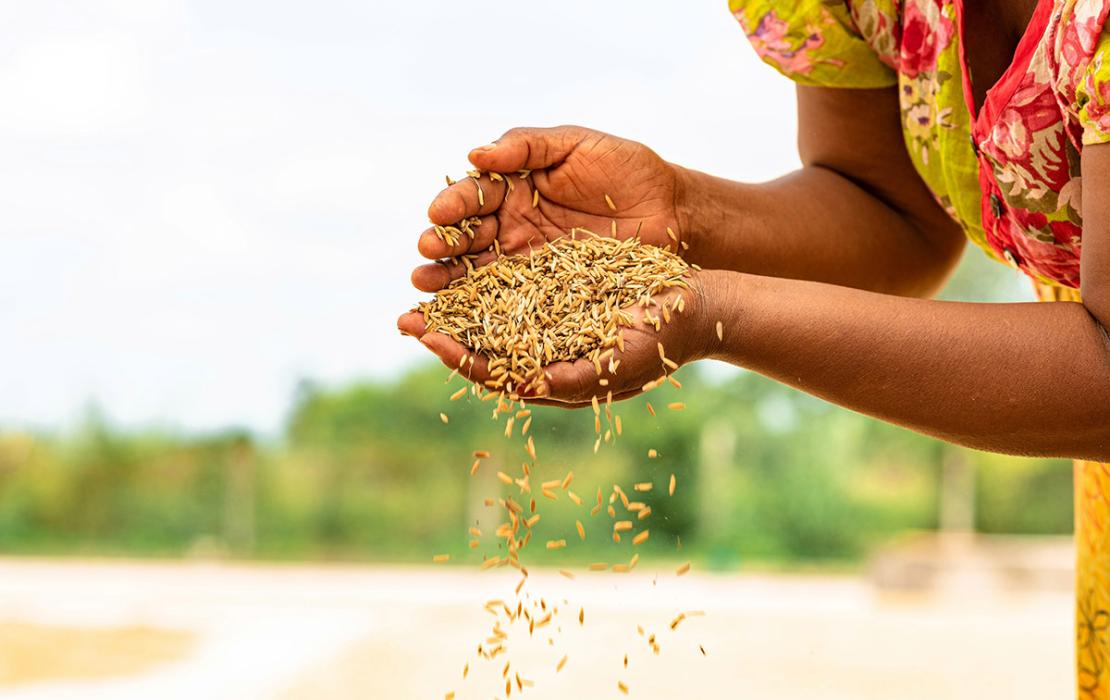 Grain falls from a woman's cupped hands.