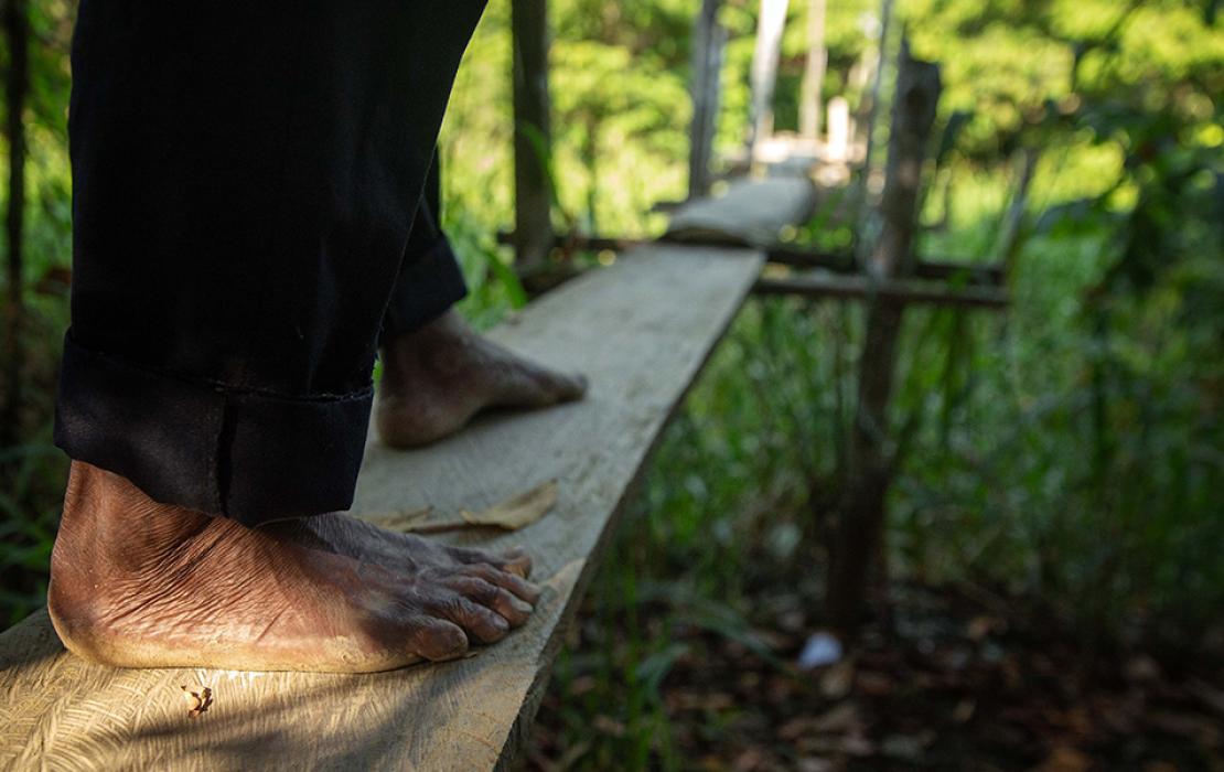 Close up of someone barefoot crossing a simple timber walkway in wetlands