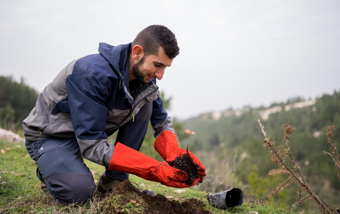 Man planting a tree in Lebanon