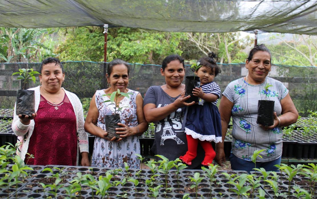 Mujeres productoras de plantas en México