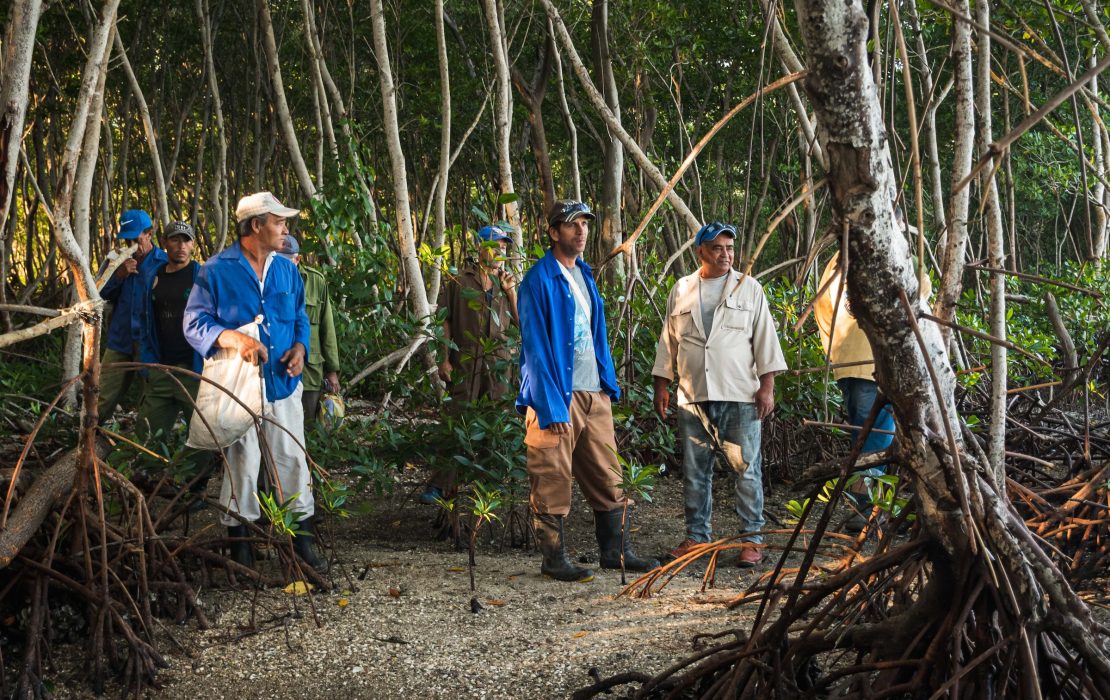 How Cuba's coastal communities are adapting to climate change