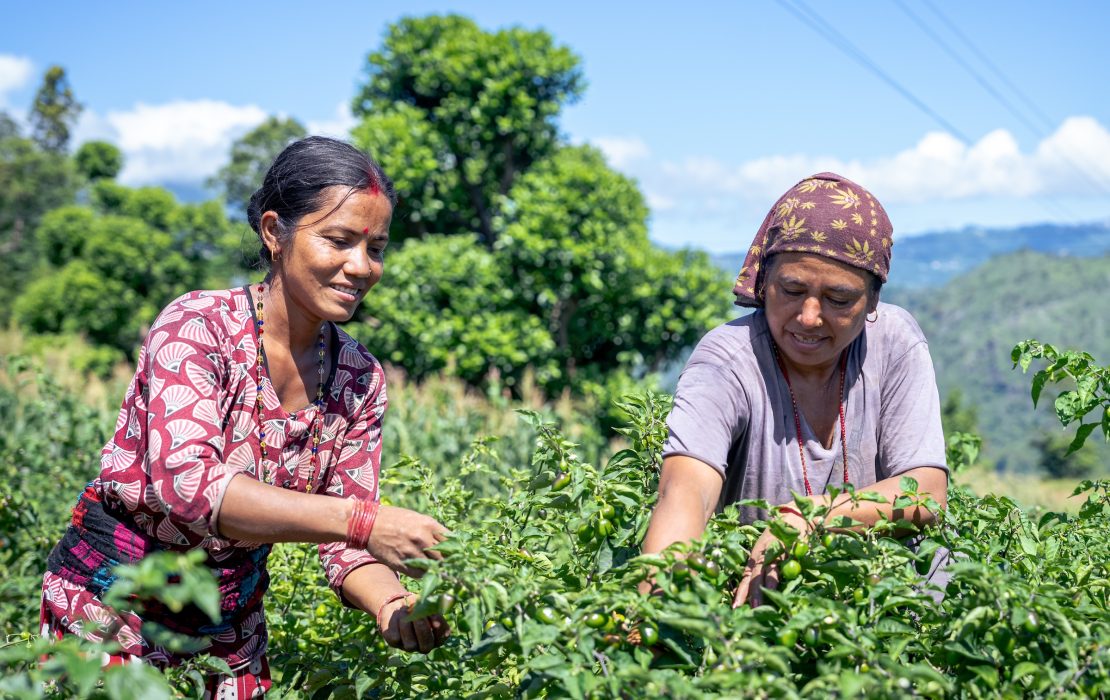 How capacity building helps climate adaptation last