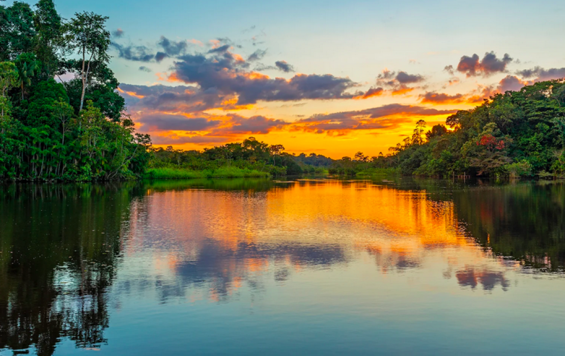 Forest and water landscape in Latin America and the Caribbean