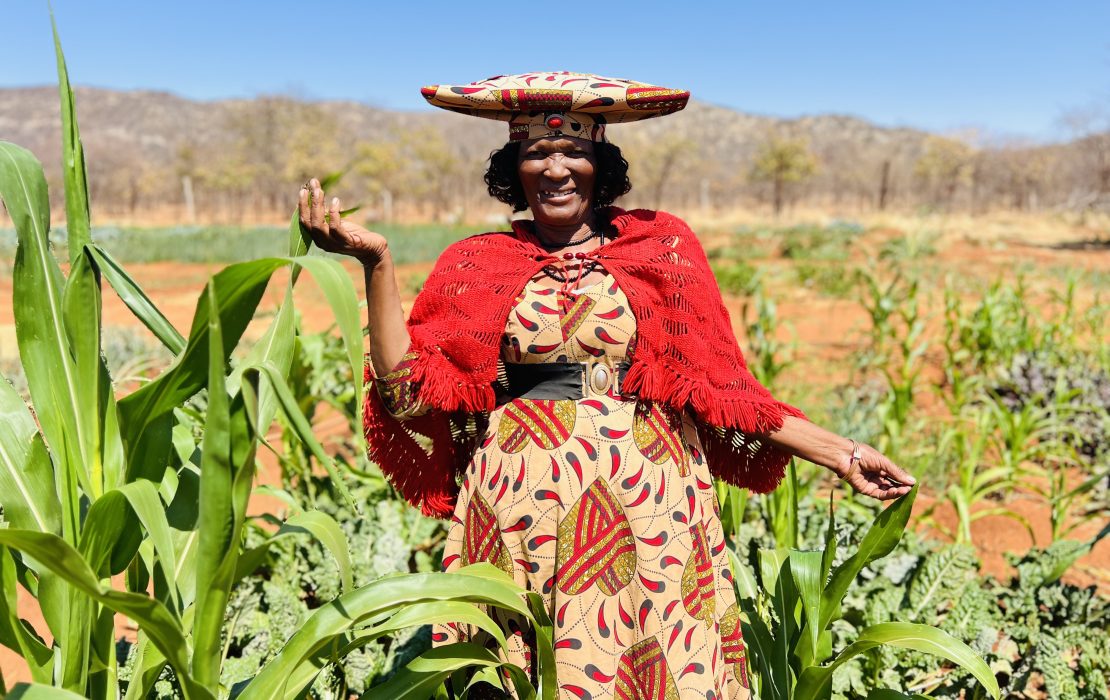 A woman stands in a field of green plants, wearing a colorful dress with red patterns, a matching large hat, and a red shawl. The background features dry vegetation and mountains under a clear blue sky in Namibia