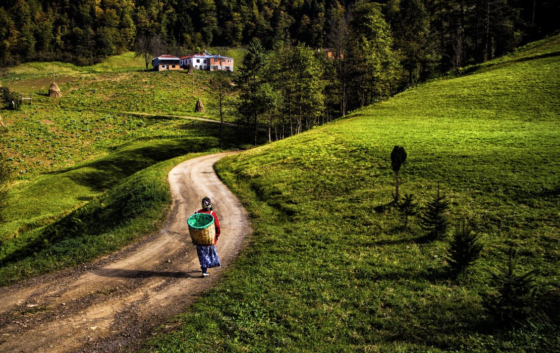Escena rural en Turquía