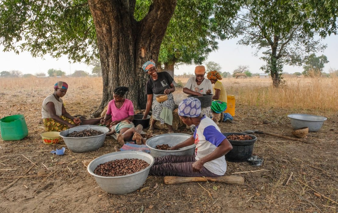 Shea contributes to women’s economic empowerment in Ghana