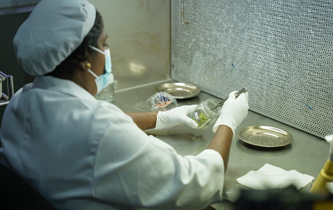 A woman wearing a face mask is working in a laboratory in Sri Lanka