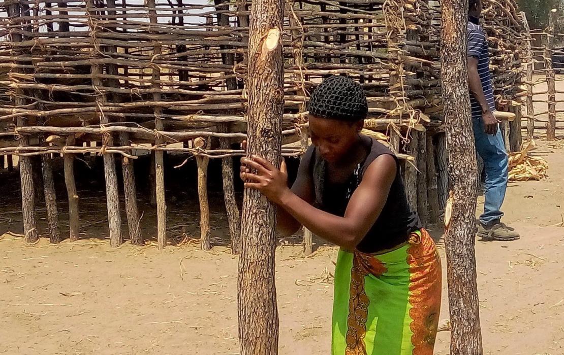 Une femme construisant sa chèvrerie en Zambie