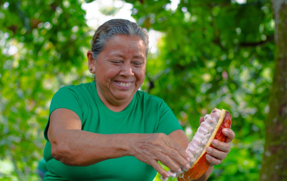 Woman harversting deforestation-free cocoa in Ecuador