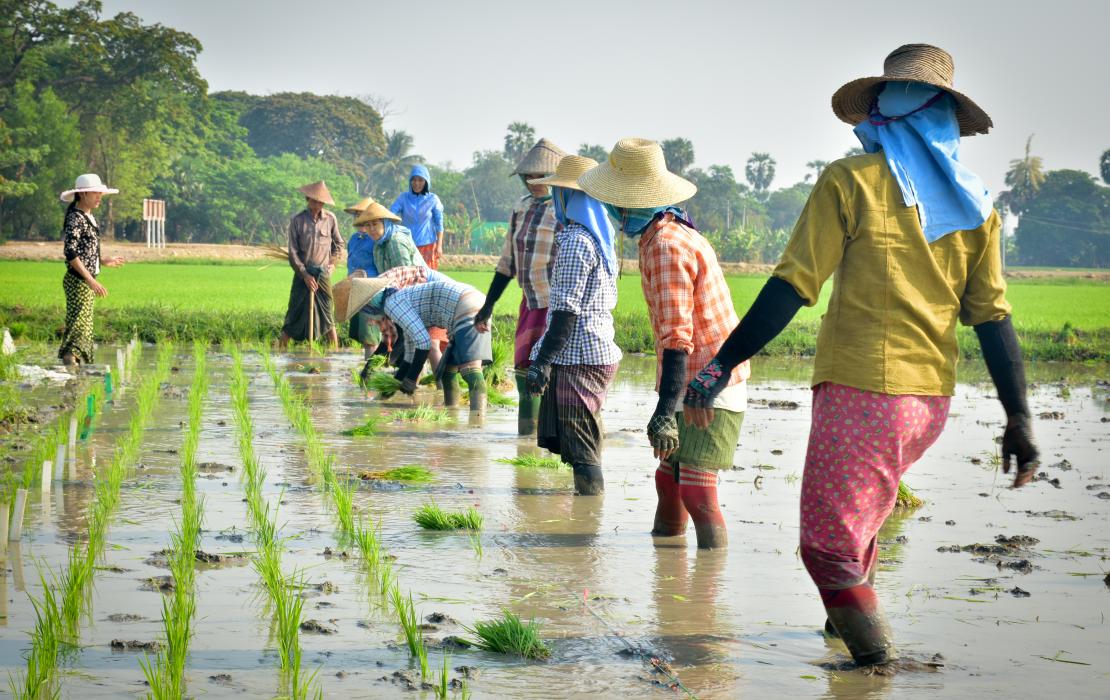 Dramatically enhancing water availability during the dry periods means that farmers are now able to continue farming in areas that were otherwise left fallow.