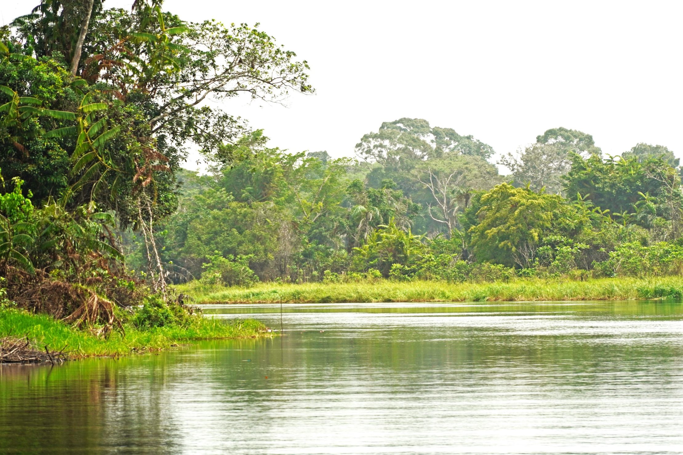 Photo: UNDP Republic of Congo 3 ways to improve land use and forest conservation in the Republic of Congo