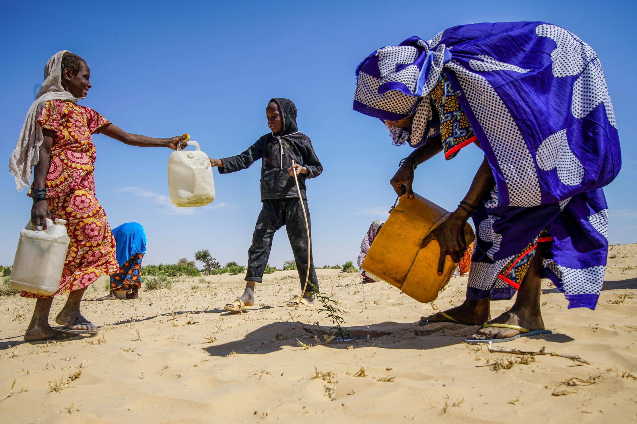 Chad region - family watering seedlings in the fight against desetification