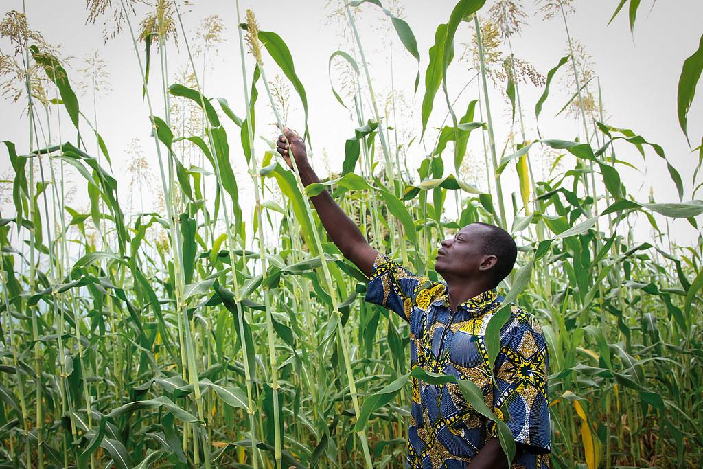 Un agriculteur au Bénin