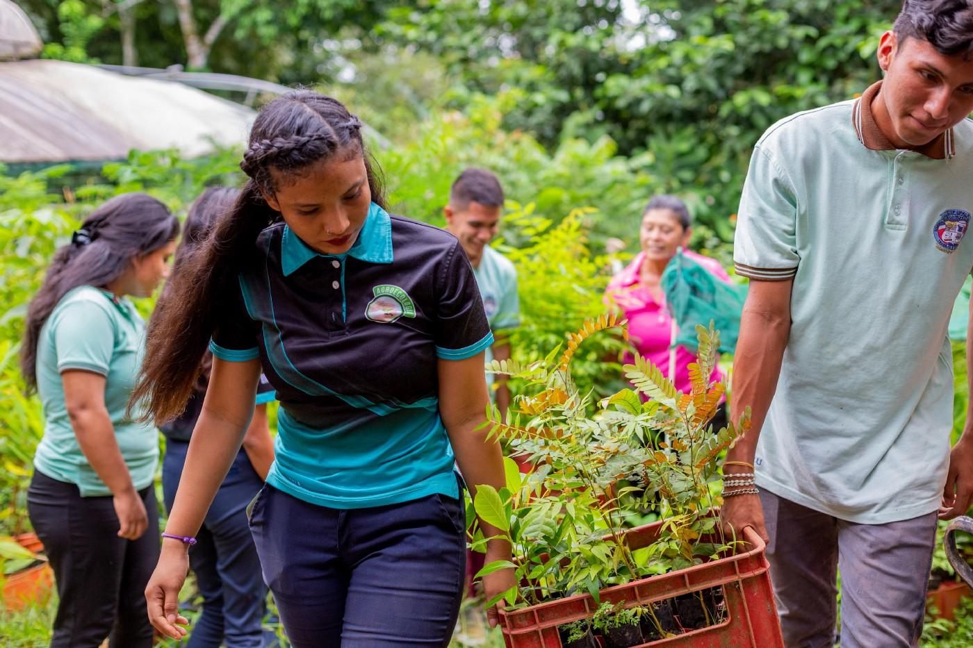 Des jeunes transportant de jeunes pousses d'arbres pour les planter au Costa Rica