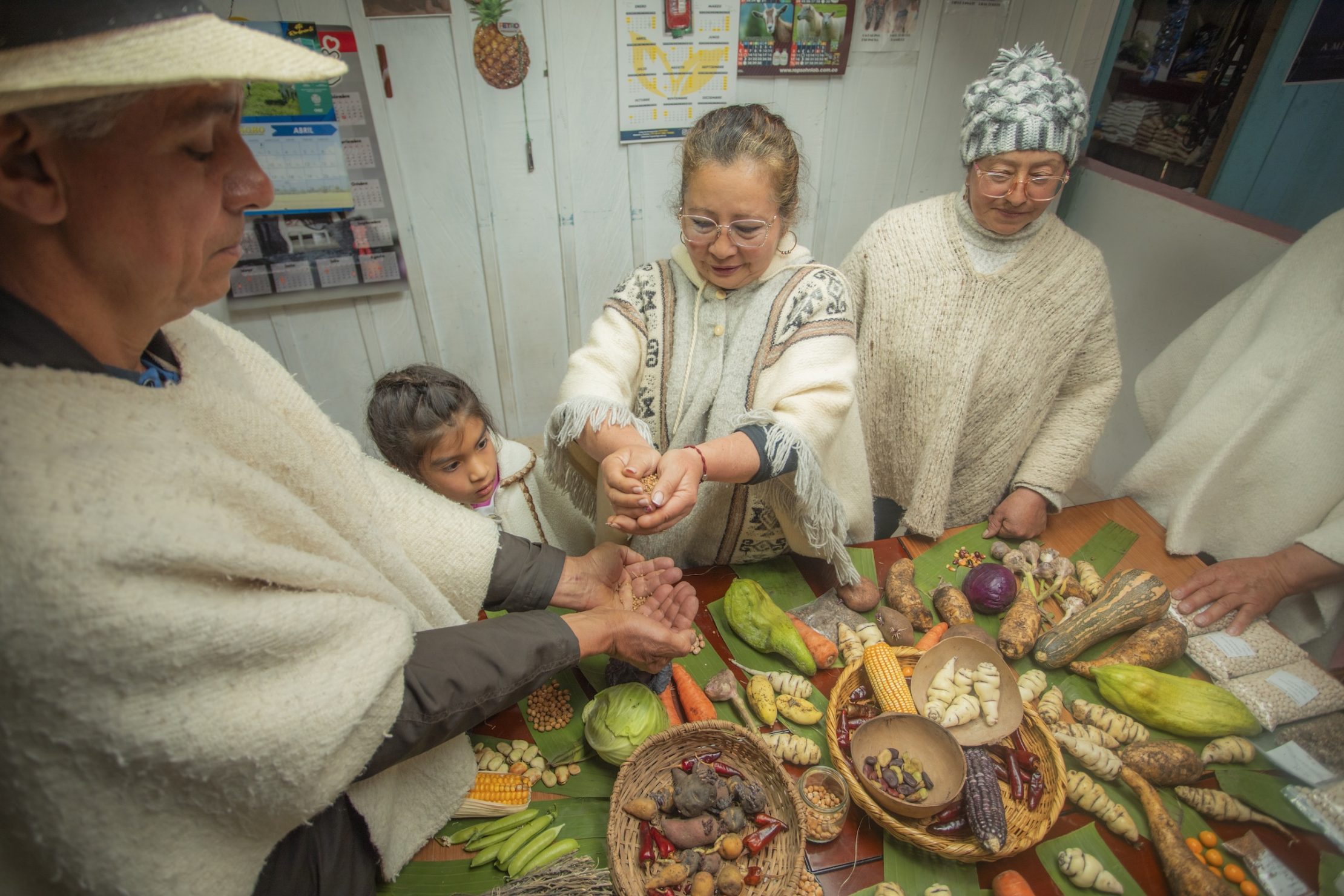 Photo: UNDP Colombia Food sustainability for climate action in Colombia