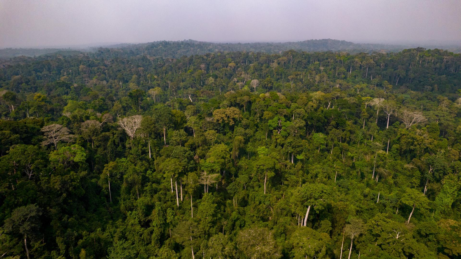 Kakum National Park, Cape Coast, Ghana