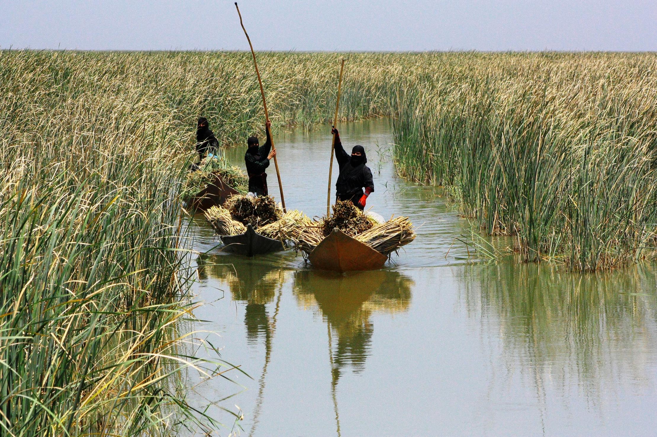 Mujeres en terrenos pantanosos en Iraq