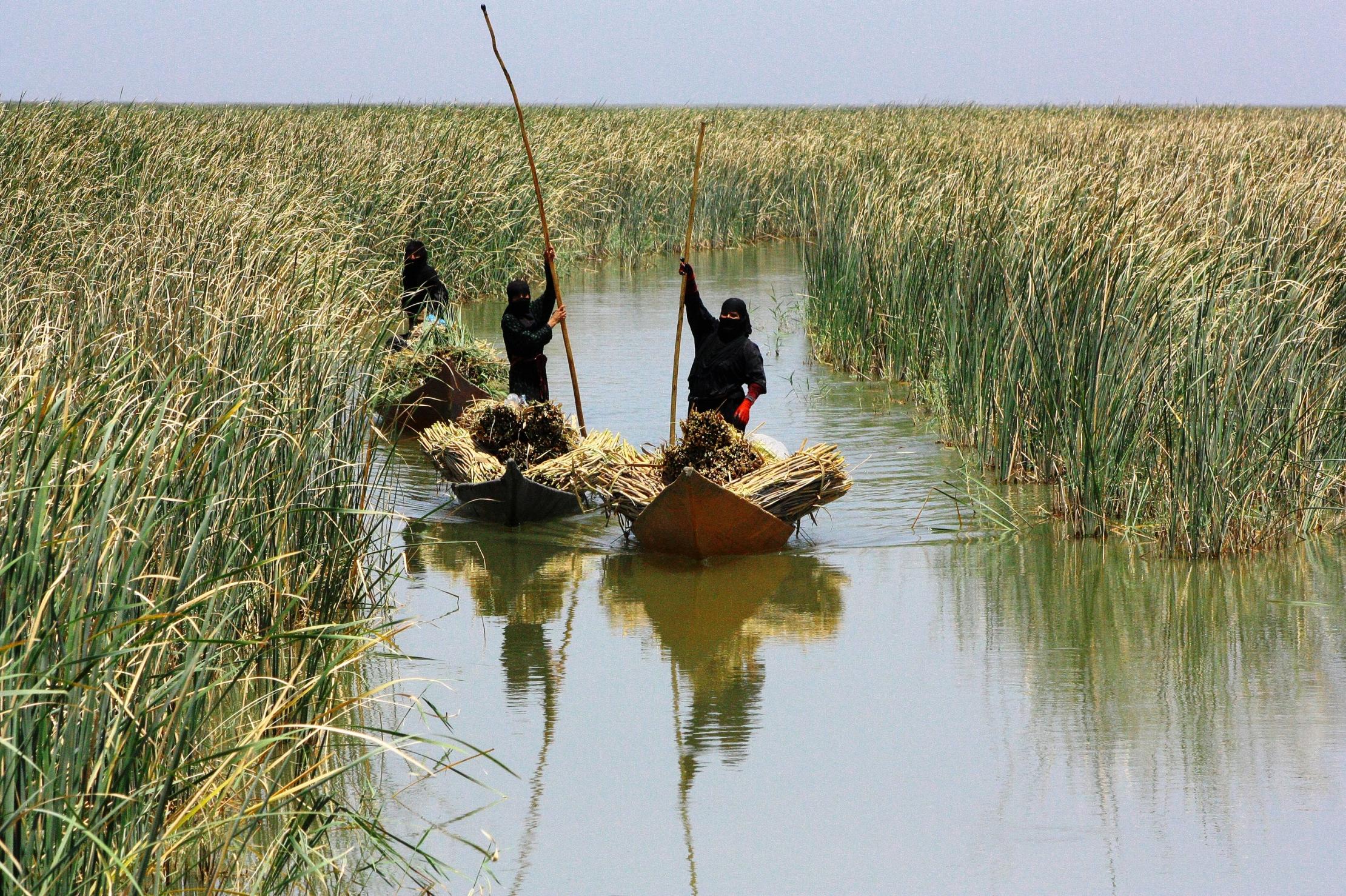 Photo: UNDP Iraq Women in Iraq's marshlands