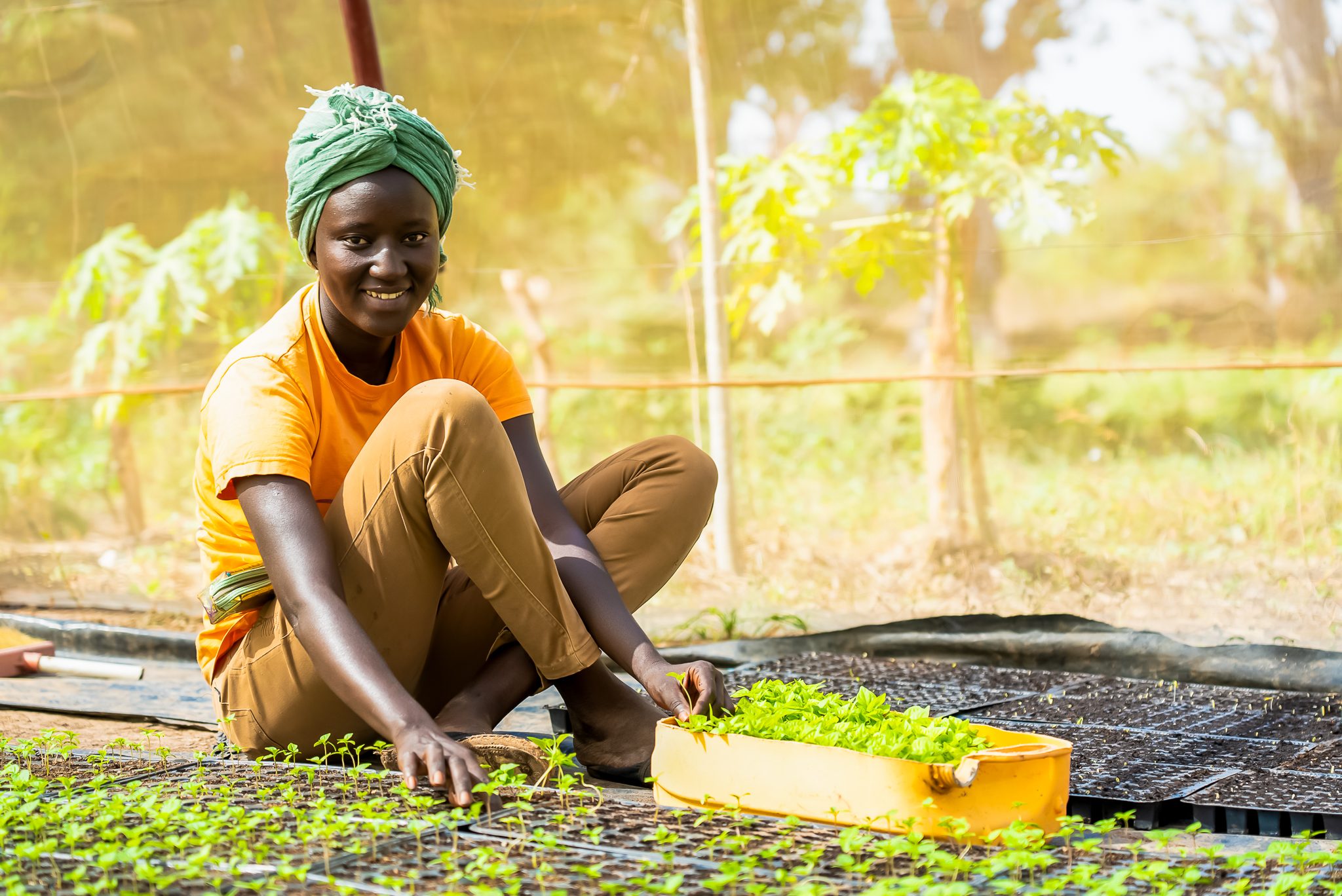 African woman in greenhouse