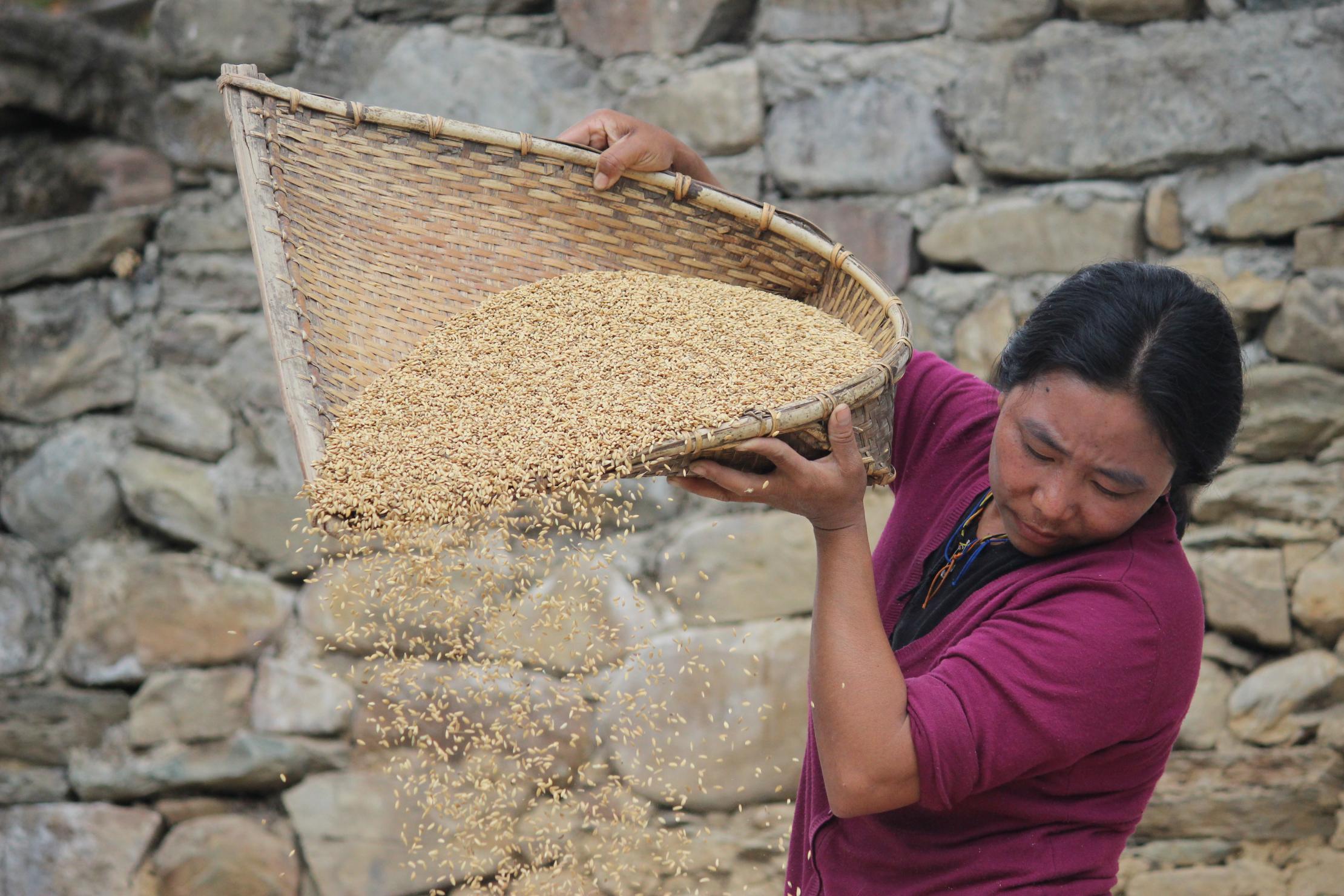 Farmer woman in Bhutan