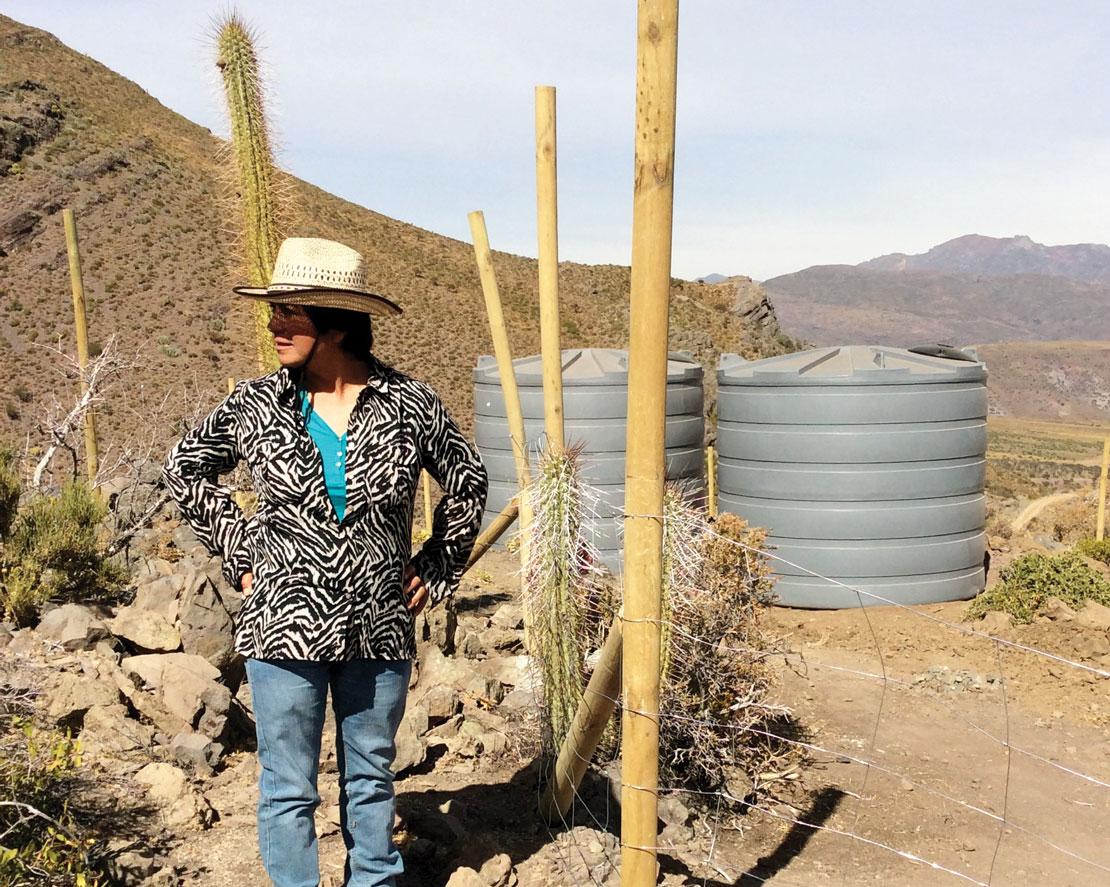A woman stands against a fence with two big barrels behind her, during daytime.