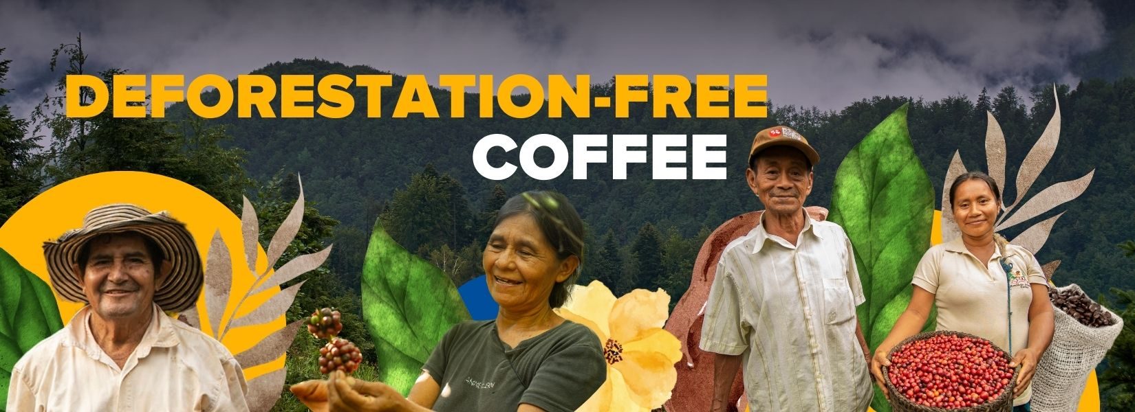 Deforestation-Free Coffee