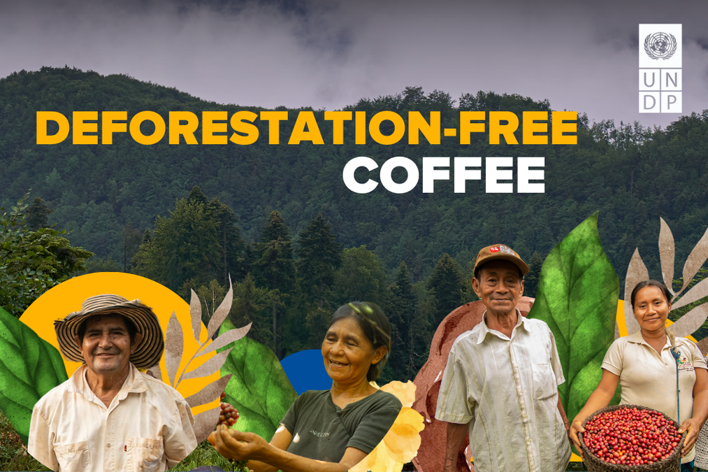 Deforestation-free coffee