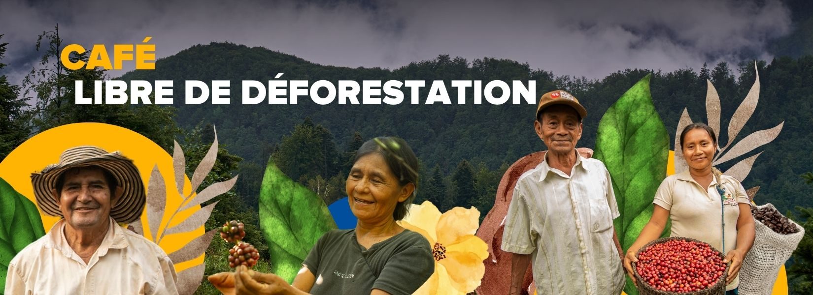 Lancement du premier café certifié libre de déforestation au monde