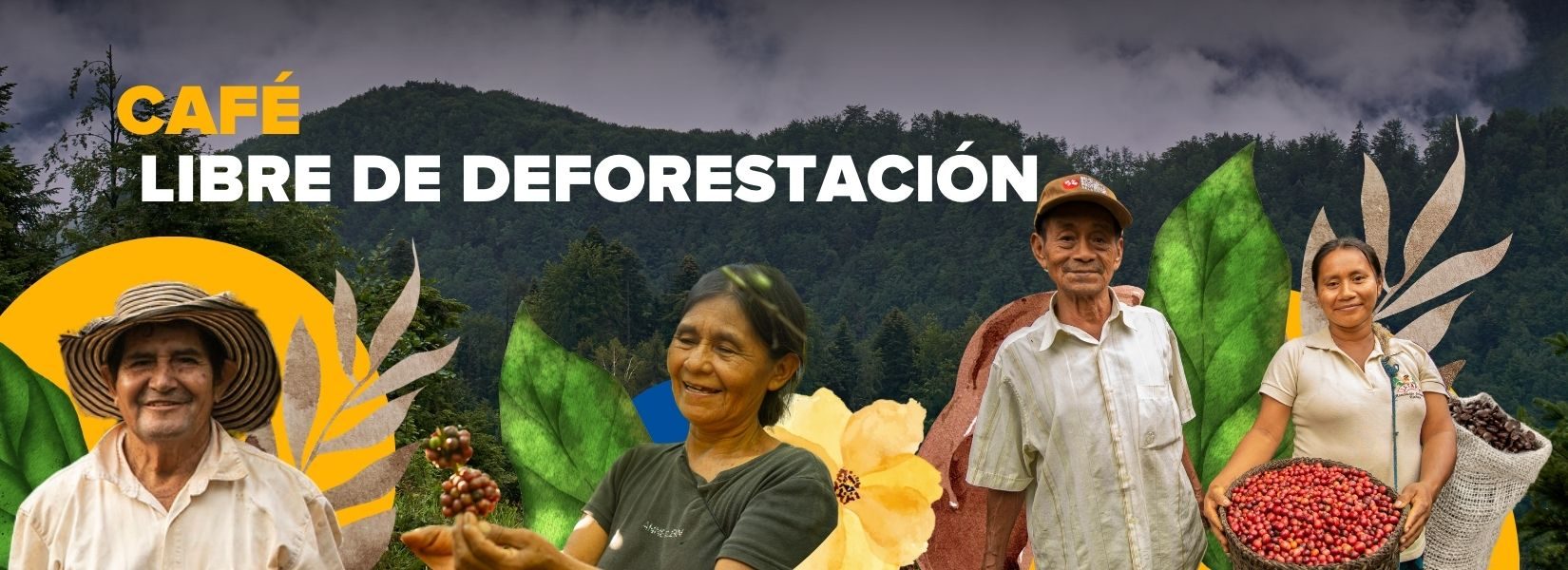 Café libre de deforestación