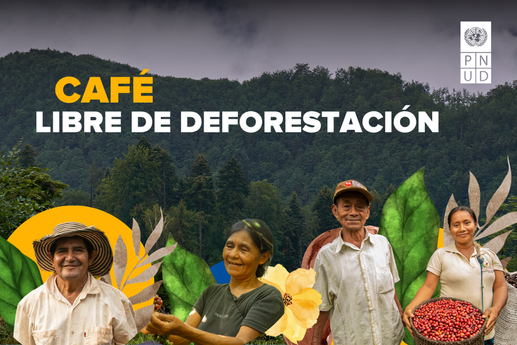 Café libre de deforestación