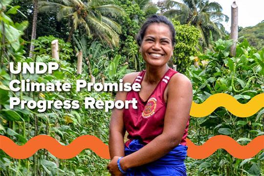 Informe de avance de Climate Promise abril 2022
