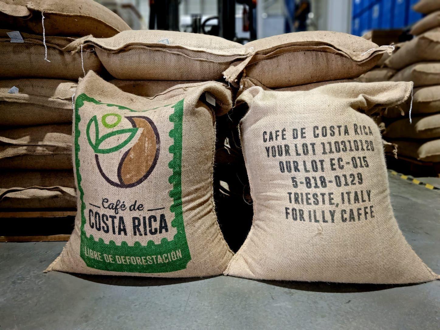 Costa Rica exporta su primer lote de café libre de deforestación