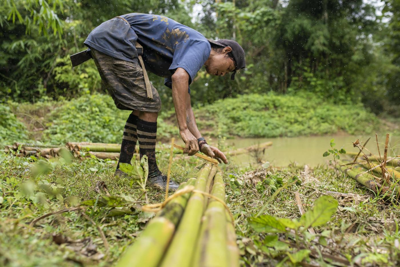 UK Government boosts support to developing countries on forests