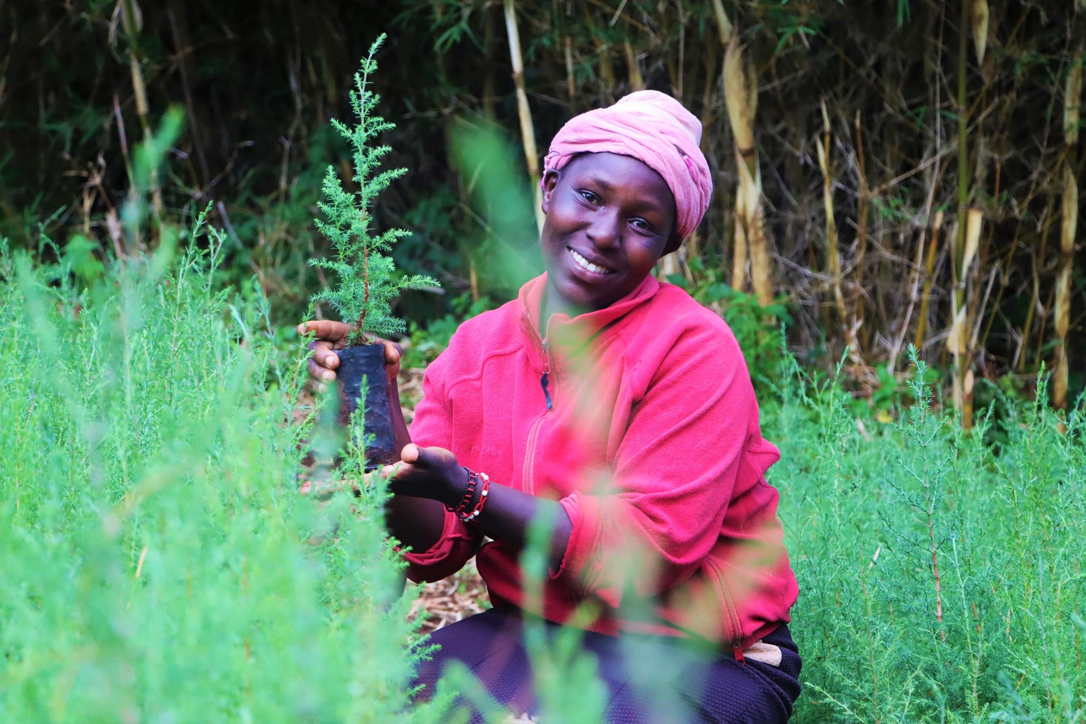 A woman plating trees in Kenya