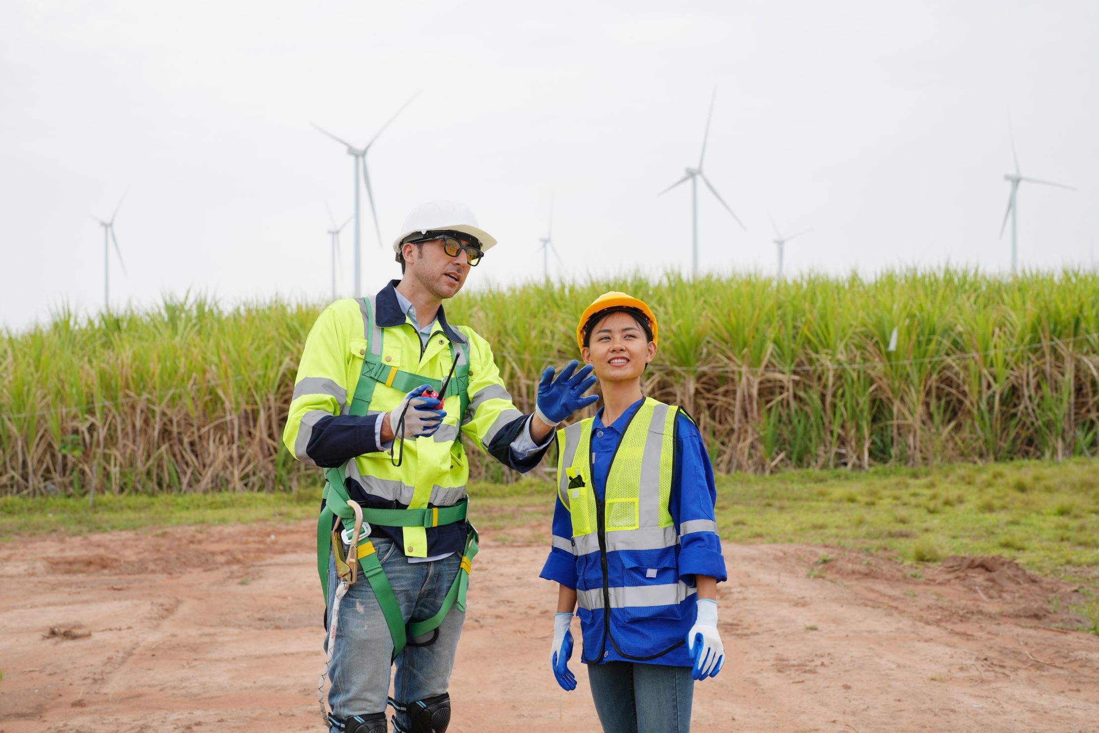 High integrity carbon markets partnership