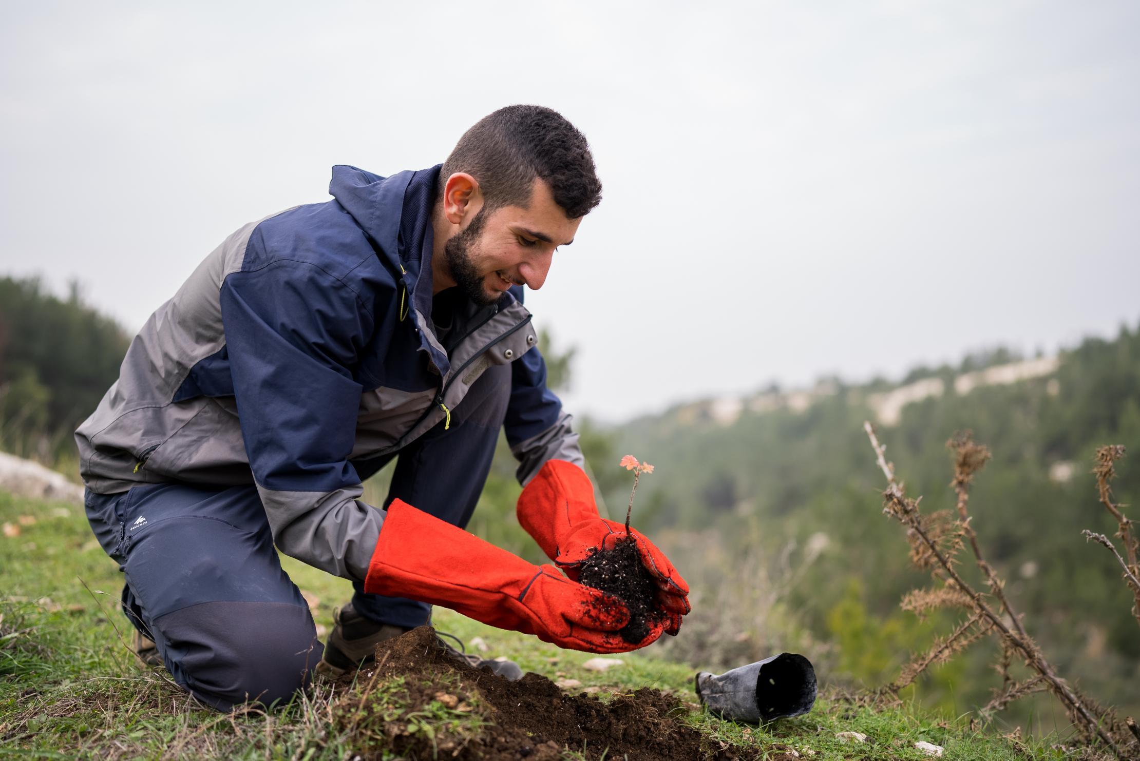 Man planting a tree in Lebanon