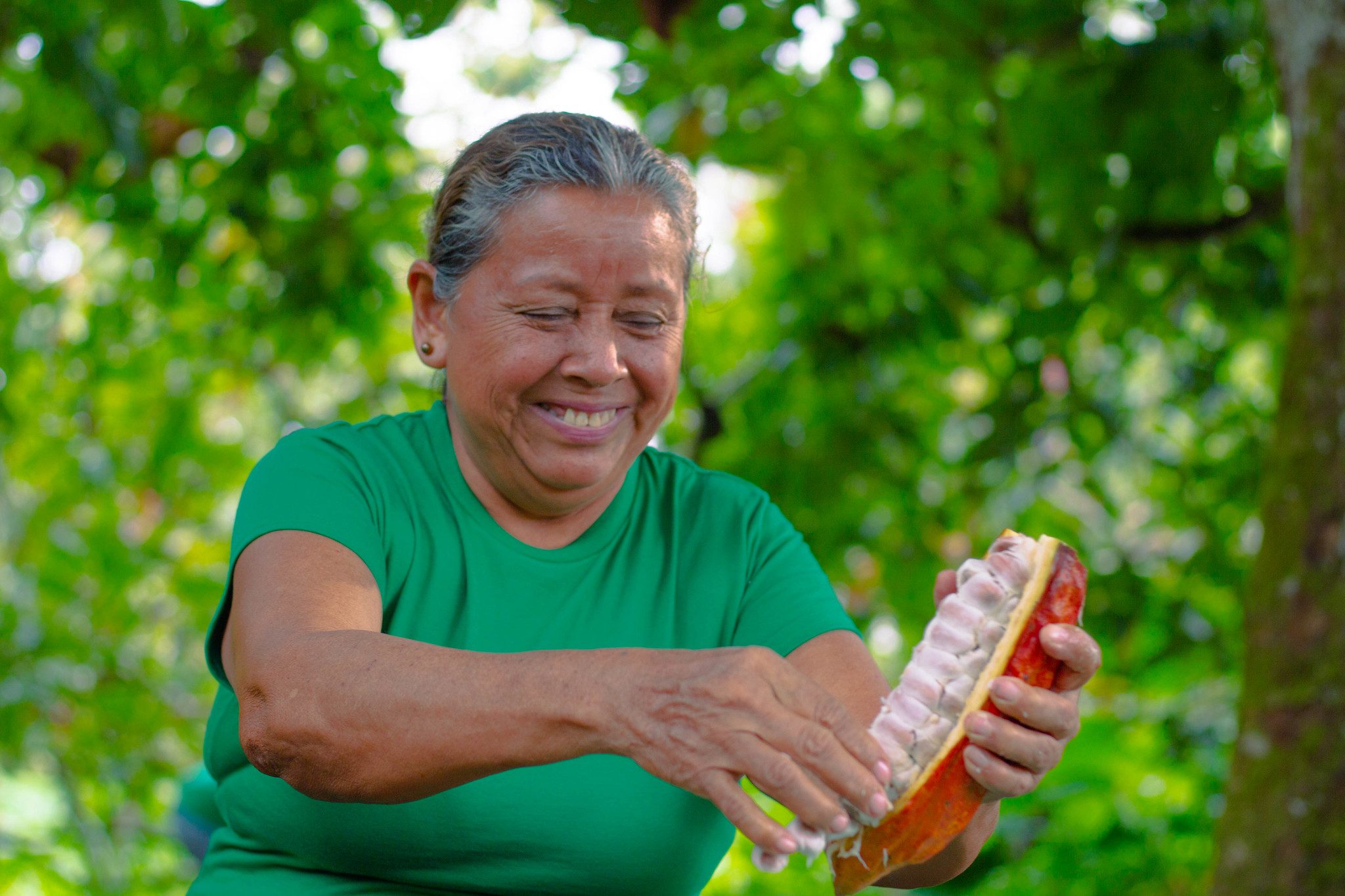 Forests and food are closely linked. Understanding and addressing these connections is essential for combating climate change, ensuring food security and protecting forests for future generations. Photo: ProAmazonia Woman harversting deforestation-free cocoa in Ecuador