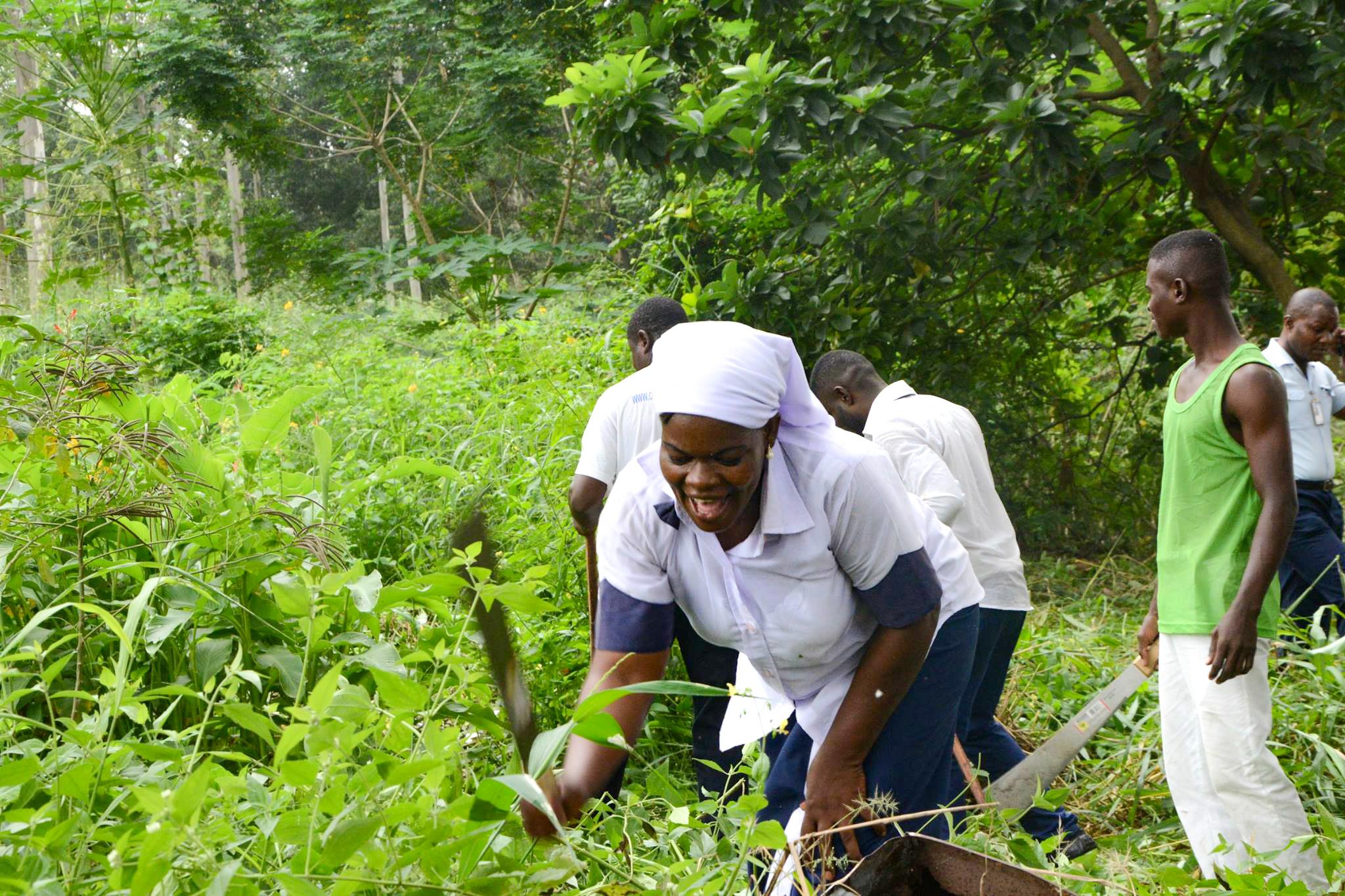 A woman working in a field in the Republic of Congo